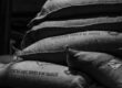 Café de especialidad desde el origen hasta la taza